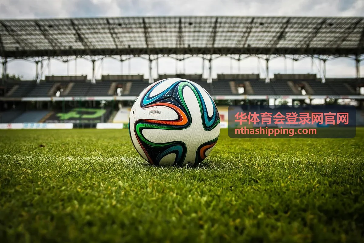 华体育会登录网官网活动现场全景画面